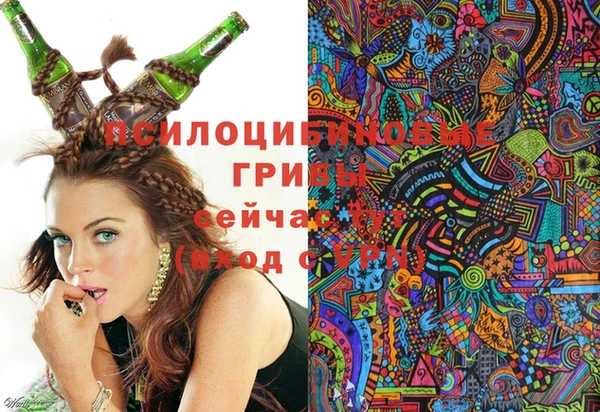 амф Заволжск