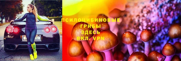 амф Заволжск